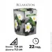  Bispol      Relaxation (SN 72s-50)