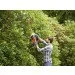  Black & Decker BEHTS301