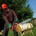  Black & Decker CS2245