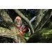    Black & Decker GKC1825L20
