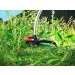  Black & Decker GL9035
