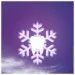 Blend-A-Med .  3D White   75 (8006540792971)