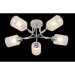 Blitz   Ogoni 5x60  27  5187-45