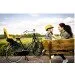     Bobike Maxi ONE / Bahama blue (8012200009)
