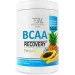  Bodyperson Labs BCAA Recovery - 500g Tropical (100-46-5574116-20)