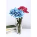 Bohemia   Globus 25,5   8KE64/0/99M87/255