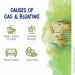 Спеціальна добавка Boiron Gasalia 60 таблеток (4384304755) Спеціальна добавка Boiron Gasalia 60 таблеток (4384304755)