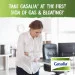 Спеціальна добавка Boiron Gasalia 60 таблеток (4384304755) Спеціальна добавка Boiron Gasalia 60 таблеток (4384304755)