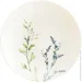   Bonna Lavender Pino 20  (LAVPIN20CK)