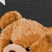 Bookopt  4059 Teddy Bear (Challenge) 