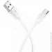  Borofone BX19 Benefit USB Type-C USB 1,3  1m White (BX19CW)