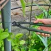   Bosch   225  (1600A02Z9X)