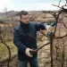   Bosch Pro Pruner (06019K1021)