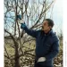   Bosch Pro Pruner (06019K1021)