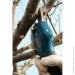   Bosch Pro Pruner Solo (06019K1020)