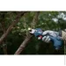   Bosch Pro Pruner Solo (06019K1020)