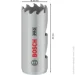 Bosch  STANDARD 20  (2608901494)