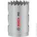 Bosch  STANDARD 40  (2608901507)