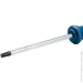  Bosch   Torx 6. (1600A01V09)