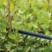  Bosch UniversalHedgeCut 18V-50 (solo) (0600849K00)