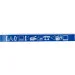   Brady     M21-750-595-BL, , : 19.05mm / 6.4m.   