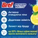    Bref     650    2983736