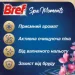 Средство для унитаза Bref Блок с чистящим средством Spa Moments Гармония Триопак 2913592 Средство для унитаза Bref Блок с чистящим средством Spa Moments Гармония Триопак 2913592
