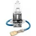   Brevia H3 24V 100W PK22s Master Rally CP (24030MRC)