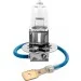   Brevia H3 12V 55W PK22s Power + 30% CP (12030PC)