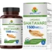   Brieofood  -     Organic Shatavari 1500mg 90  (4384308248)