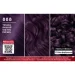 -   Brillance 888   142,5 