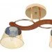 Brille  LK-704S/E2FG-24-537