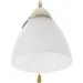 Brille  60W LK-164W/1 (YL22)
