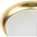  -  BR-02 257/2 Brille 173072