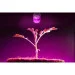   Brille  E27 LED 7W FITO GROW (FULL SPETRUM=9:1) (L137-011)