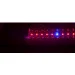   Brille  G13 LED 9W FITO GROW T8 (RED:BLUE=5:1) (L137-006)