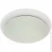  -   W-613/24W CW Brille 26-520