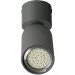      AL-79/1 GU10 SGY IP20 Brille 26-810
