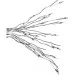 Brille  B0085/3 (174144)