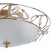 Brille  BCL-106S/2 (186218)