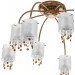 Brille  BCL-153S/ (186194)