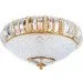 Brille  BCL-405S/-186497