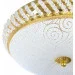 Brille  BCL-407S/-186503