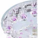 Brille BCL-469C/1 G9+ LED VL 
