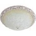  -  BCL-506S/3 Brille 186468