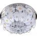 Brille       (22-519)