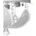 Brille     (22-761)