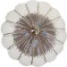 Brille  BELL-002C/E1CLEA-L21-005