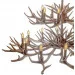 Brille  BKL-100S/2E1 (23-046)