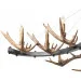 Brille  BKL-104S/1E1 (23-051)
